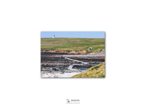 a coastal landscape with a lighthouse on a hill, a small boat on the water, and a grassy field in the background.