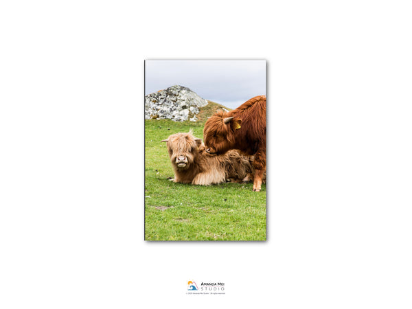 A brown cow and a calf resting together in a grassy field with a rocky hill in the background.