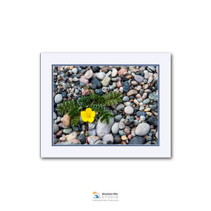 A close-up photograph of a collection of small rocks and pebbles, with a single yellow flower resting on top of the rocks.