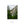 a majestic waterfall cascading down a rocky cliff surrounded by lush green trees.