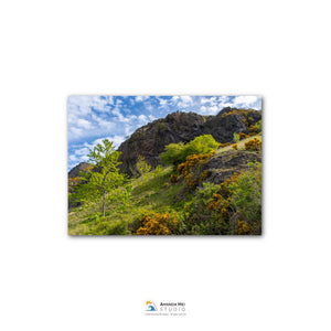 a lush, green hillside with a rocky cliff face and a clear blue sky with scattered clouds.