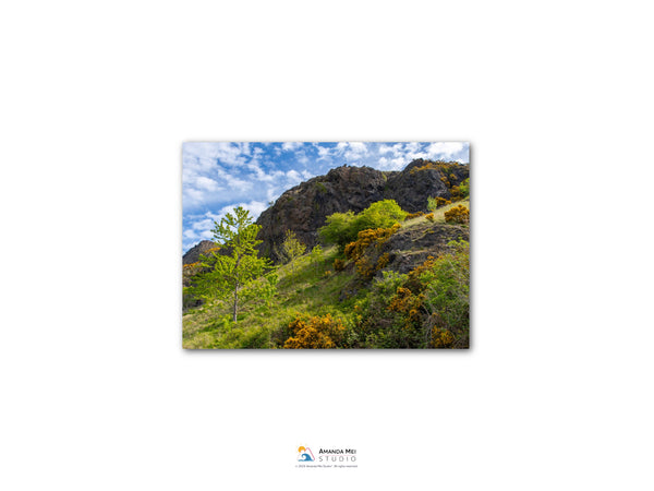 a lush, green hillside with a rocky cliff face and a clear blue sky with scattered clouds.