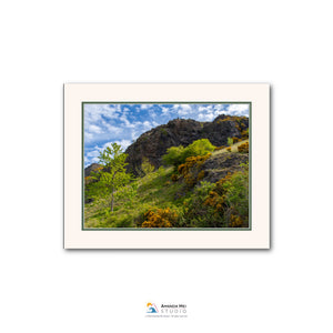 a lush, green hillside with trees and shrubs, set against a clear blue sky with fluffy white clouds.