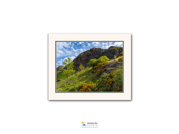 a lush, green hillside with trees and shrubs, set against a clear blue sky with fluffy white clouds.