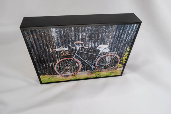 A framed photograph of a bicycle parked in front of a corrugated metal fence.