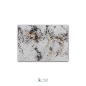 The image is a close-up of a sandy surface with various textures and patterns, including small rocks and fibers.