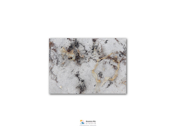 The image is a close-up of a sandy surface with various textures and patterns, including small rocks and fibers.