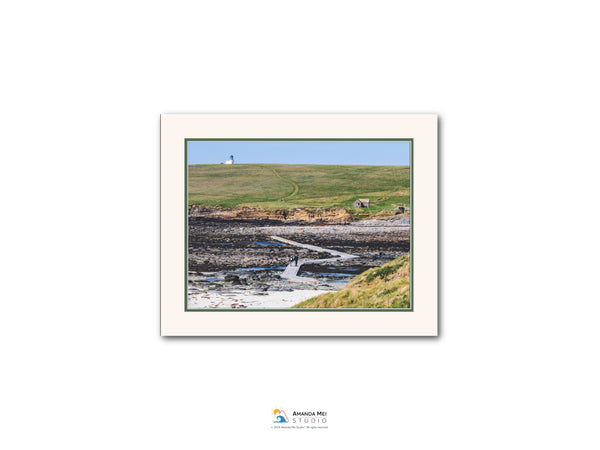 a coastal landscape with a lighthouse on a hill, a rocky shoreline, and a path leading through the area.