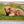 A brown, shaggy-haired animal, possibly a yak or a similar species, is lying down on a grassy field.
